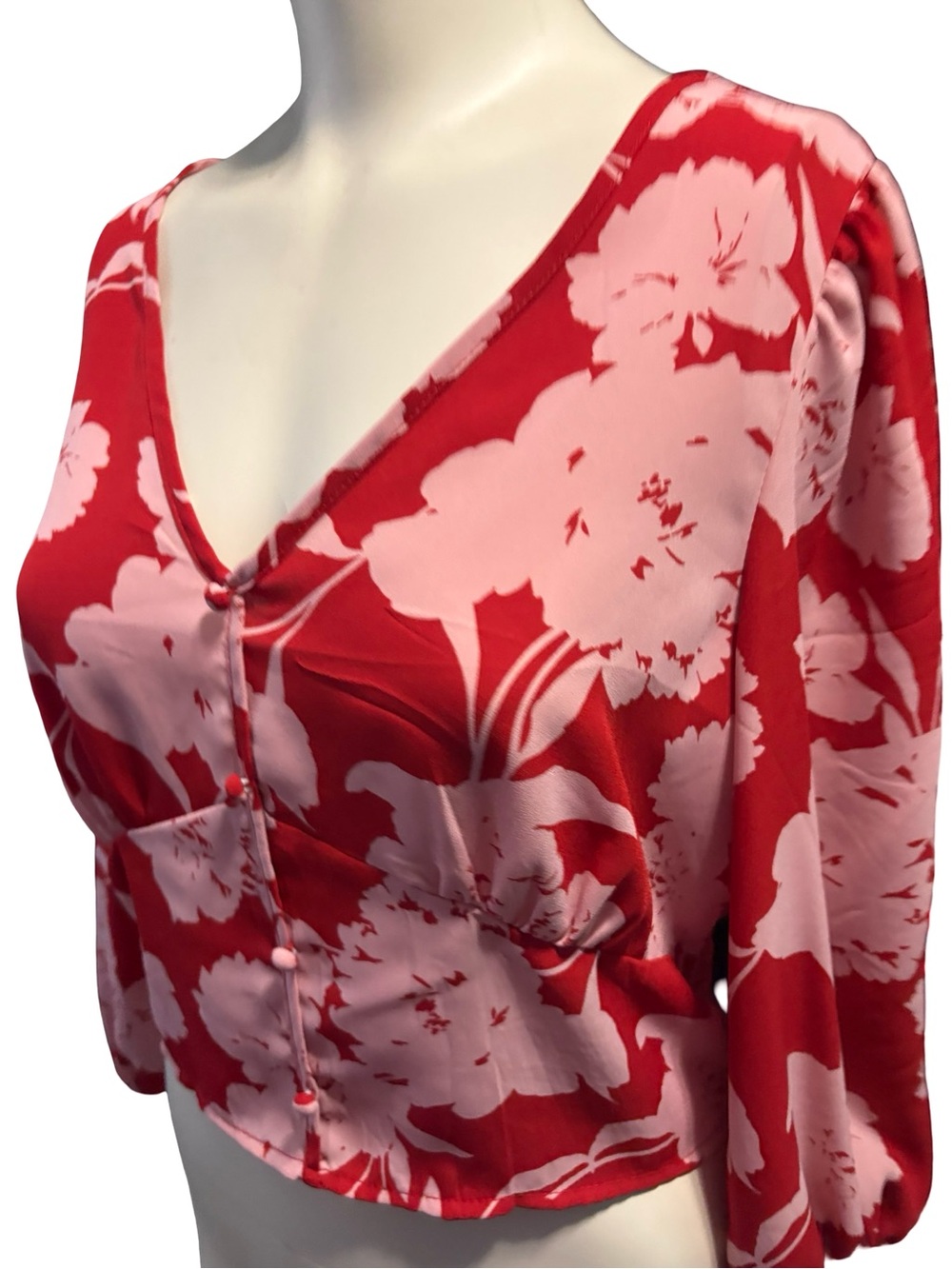Sienna Sky Red & Pink Floral Cropped Button-Front Top